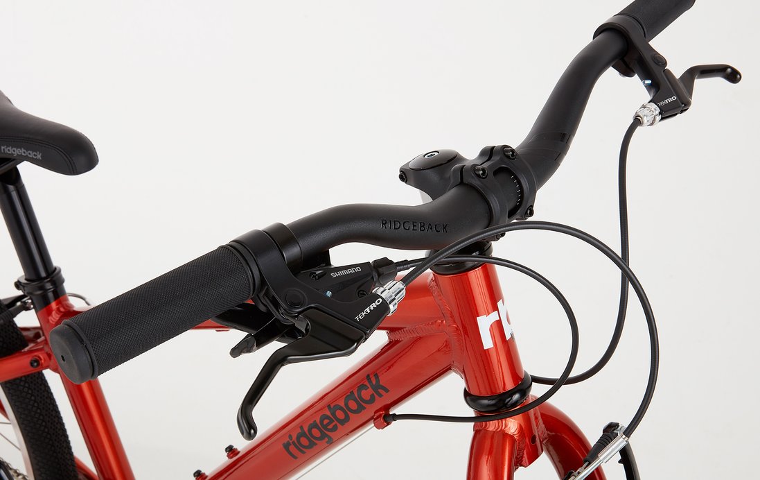 Ridgeback 26 inch online mountain bike